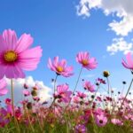 ✧ちょっとひと息✧　作業療法と理学療法のちがいって？